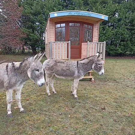Campingplads Roulottes Les Alpaguettes Saint-Romain-de-Benet