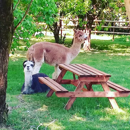 Roulottes Les Alpaguettes Saint-Romain-de-Benet