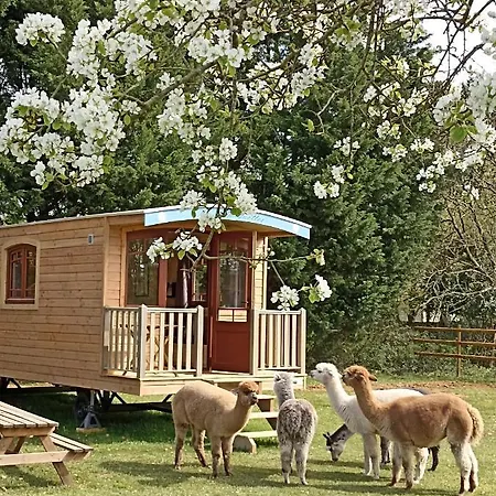 Roulottes Les Alpaguettes Campsite