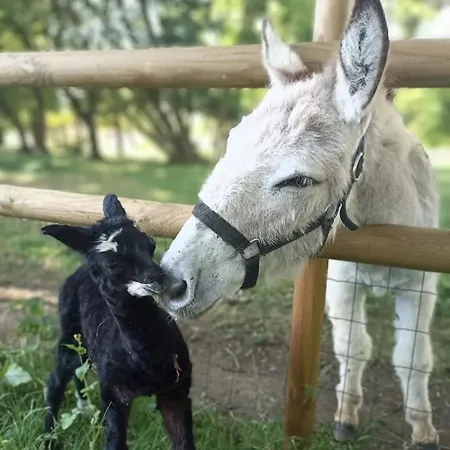 Camping Roulottes Les Alpaguettes